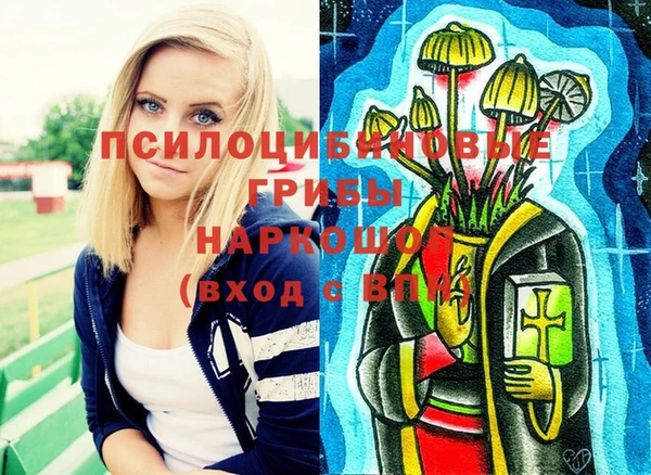 мдма Медвежьегорск