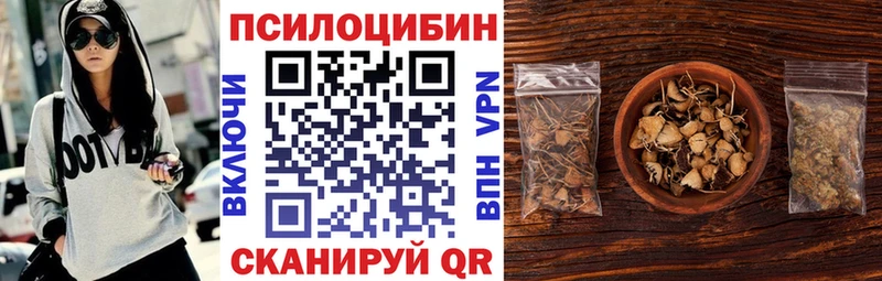 Псилоцибиновые грибы Cubensis  даркнет какой сайт  Хадыженск  купить   hydra как войти 